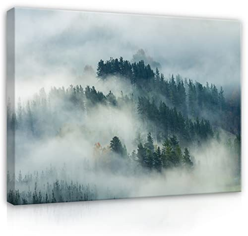 WallArena Leinwand Bilder 120x80 cm | Wald im Nebel Natur Landschaft, Leinwandbilder, Bild auf leinwand, Format: 120x80 cm (BxH) - einteilig auf Canvas