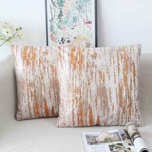 NIULAA Copricuscini 45x45 Arancione Quadrato Federe Cuscini Divano 2 Pezzi Velluto Decorativo Fodera per Cuscino Arte Moderni Copri Cuscini Morbidi Casa Federe Cuscino Adatto per Letto Estern