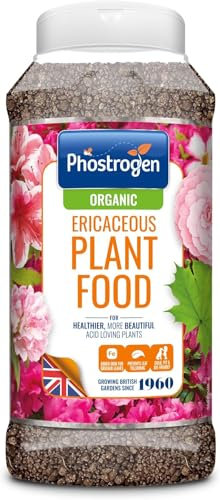 Ericaceous Plant Food 800g (Pack of 1) – Fertiliser for Plants & Acid-Loving Varieties | Ideal for Azaleas, Camellias, Rhododendrons, Blueberries & Heathers | Supports Healthy Growth