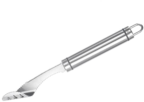 HEMOTON Edelstahl Chili Samenentferner Gebogener Paprikaentkerner mit Gezahnten Werkzeugen Kernauslöser für Paprika Gurken Tomaten und Äpfel Praktischer Küchenhelfer
