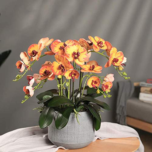 pflanzenständer, blumenstand, blumenstander Blumenregal pflanzenhocker pflanzentopf blumentopf hoch indoor holz seule Garten Blumentreppen Pflanzentreppe Ablagen deko gold metall weiß schwar