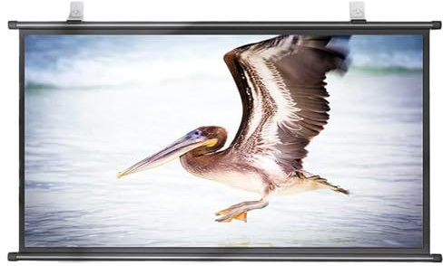 YUQIWKK Pantalla De Proyección Enrollable Manual, 30/40/50/60/72 Pulgadas HD 4K, Formatos 4:3, 16:9 De Techo y Pared, HD Extraíble, Cine en Casa, Escuela, Oficina, Color Blanco Mate(16:9,50)