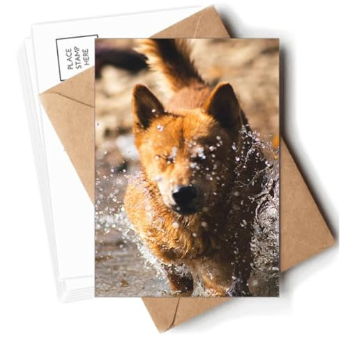 Japanischer Hund, niedliche Tierfotografie, Postkarten, Umschläge, blanko, Notizkarten, Versand