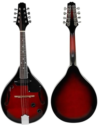 Mandoline pour débutants Ensemble d instruments de musique mandoline(Type 2)