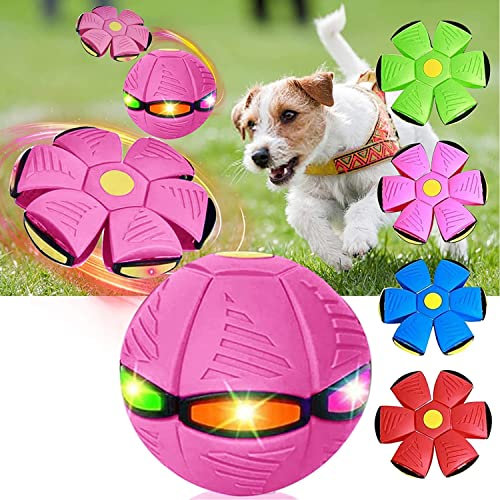 Bola platillo Volador Juguete para tas, Juguet para tas Juguet para Perros Juguete Bola platillo Volador mágico, Platillo Volador Pelota Juguete para Perros