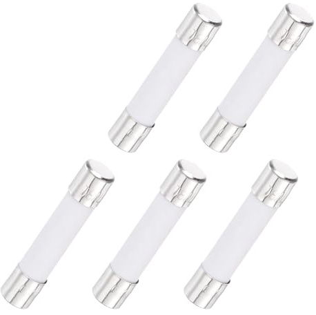 QUARKZMAN 5Pcs Fusibile Ritardo Azionamento Ceramico Tubolare 6mm x 30mm 250V 8A Fusibile Lento Per Riparazione Circuiti Stampati Apparecchiature Illuminazione Strumentazione.