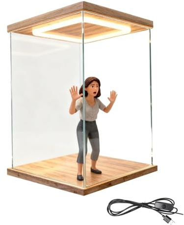 Acryl Vitrine Beleuchtete Acryl-Vitrine, Stapelbare Aufbewahrungsbehälter mit Staubschutzdeckel und Tür, Figuren-Schützer für Schlafzimmer(20x30xH30cm/8x12x12)