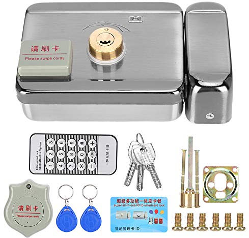 Leapiture Serratura silenziosa per porta elettrica in acciaio inossidabile Carta d'identità a doppia faccia con telecomando per la porta d'ingresso del cortile esterno dell'hotel domestico