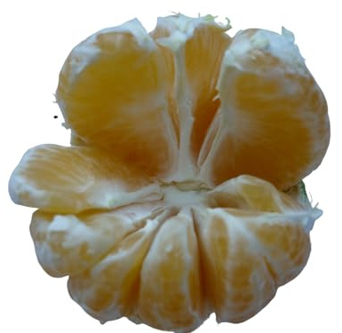 Robinalia Mandarina-Limon Valencia 10 kilos
