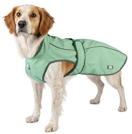 Max & Molly Regenmantel Hund wasserdicht, M, Jade, Sportliche Regenjacke für Hunde mit verstellbarem Bauchgurt, Reflektierend und Sicher, Regenjacke Hund mit Geschirröffnung