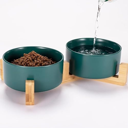 Bol Double en céramique pour Chiens et Chats, gamelle Durable pour Nourriture et Eau, récipient élégant et Pratique (Vert)