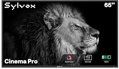 SYLVOX Outdoor TV, 65 inch Mini-LED QLED TVs for Outdoor Use, 3500nits Super High Brightness, 120Hz, IP55 Waterproof, Compatible with Google & Dolby Atmos, HDMI 2.1 & USB 3.0 (Cinema Pro/2025)