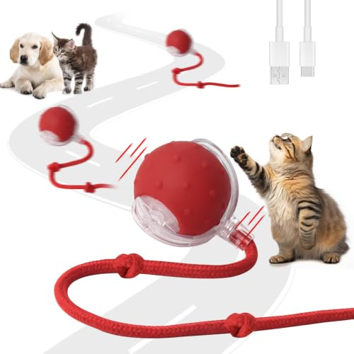 Afaneep Palla Interattiva per Gatti, Palla Elettrica Giocattolo Automatica, Giochi Interattivi Pallina Interattiva per Gatti e Cani, 3 Modalità, Ricarica USB, Accompagnato da Suoni di Uccelli
