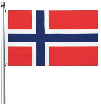 Bandiera della Norvegia 3x5FT Bandiera decorativa per esterni