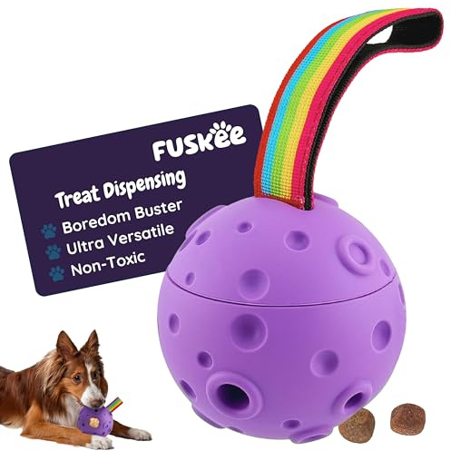 Fuskee Meteorite Rubber Treat-Dispensing Dog Toy & Enrichment Ball, Purple