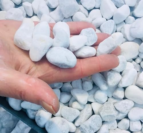 HCommerce Piedras decorativas blancas como la nieve, grava de mármol, grava Carrara, grano 20-40 mm (1, kilogramo)