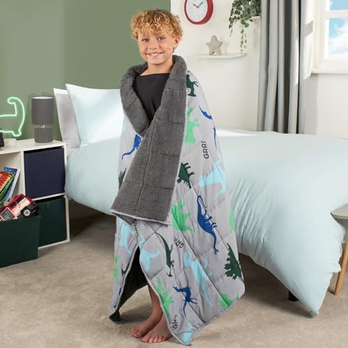 OHS Teddy Fleece Weighted Blanket for Men 3kg Dino Grey, Heavy Weighted Blanket Double Calming Stress Relief Anti Anxiety Blanket for Adults Gift for Him Her Disclaimer Only suitable for age 3+ years