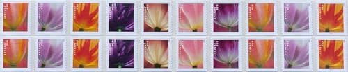 Tulip Blossoms 2023 (Strip of 20) Flowers First-Class Mail Forever Postage Stamps