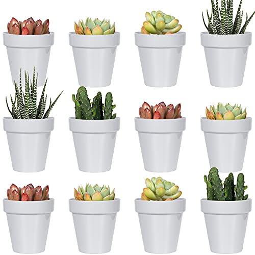 Youngever 24 Pack 5CM Mini Plastic Planters, Indoor Flower Plant Pots, Grey Gardening Pot with Drainage - NO Plant Included (Classic)