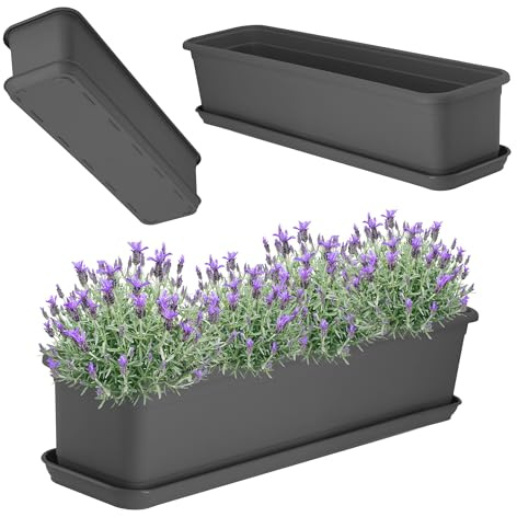 KADAX Blomlåda 60 cm antracit med underlägg – balkonglåda av plast, planteringslåda för inomhus- och utomhusbruk, blomkruka för balkong, terrass, fönsterbräda
