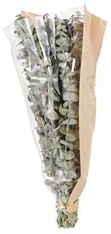 CORHAD Getrockneter Eukalyptus Und Lavendelblütenstrauß Für Badezimmerdekoration Natürliche Aromatherapie-Pflanzen Zweige Eukalyptus Lavendel Für Und Hochzeitsdekoration
