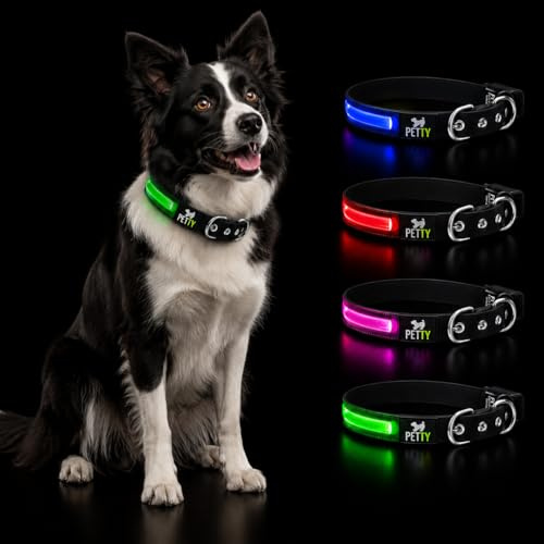 Petty Italia Justerbart hundhalsband i Biothane, LED-halsband för natten i Biothane, lysande halsband med PVC och uppladdningsbart batteri. (Blå, XL)