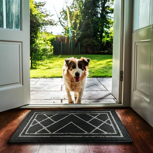 Dirt Trapper Super Absorbent Doormat By NEXATONE, Elegant Design, Non-Slip, Machine Washable, Indoor/Outdoor Rug Door Mat, Best for Muddy Shoes, Cat Paws & Dirty Dog, (Charcoal-Grey, 50 x 80 cm)