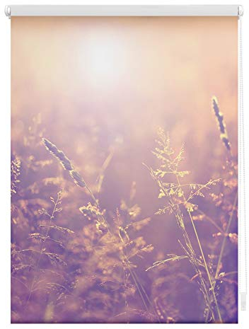 Lichtblick Klemmfix Verdunklungs-Rollo mit Motiv, ohne Bohren, Blickdicht, Seitenzugrollo, Made in Germany, Sommerabend - Orange 90 x 150 cm