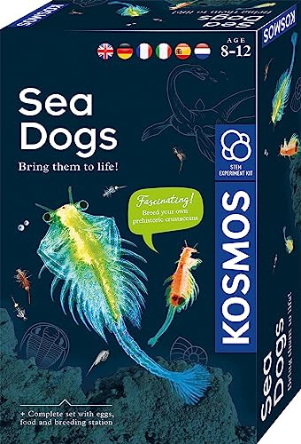KOSMOS Sea Dogs 616779 Kit d'expérimentation pour Enfants à partir de 8 Ans - Kit Complet pour débutants - avec Instructions multilingues (DE, en, FR, IT, ES, NL) - 21 x 13 x 5,5 cm