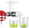 Gdrtwwh Entsafter Aufsatz für KitchenAid Ständermixer,Slow Juicer Zitrussaftpresse Zubehör, Kau-Entsafter-Aufsatz Gemüse und Obst(Weiß)