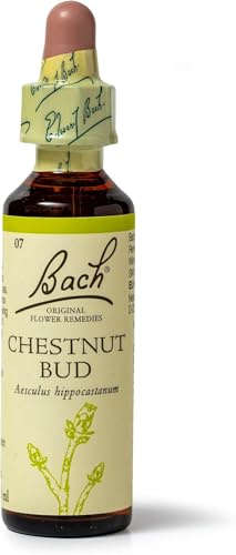 Bach Original Flower Remedies (Chestnut Bud) Live The Day, Learn from Mistakes, Emotional Wellness, Natural Flower Essence, 20ml (Pack of 5)