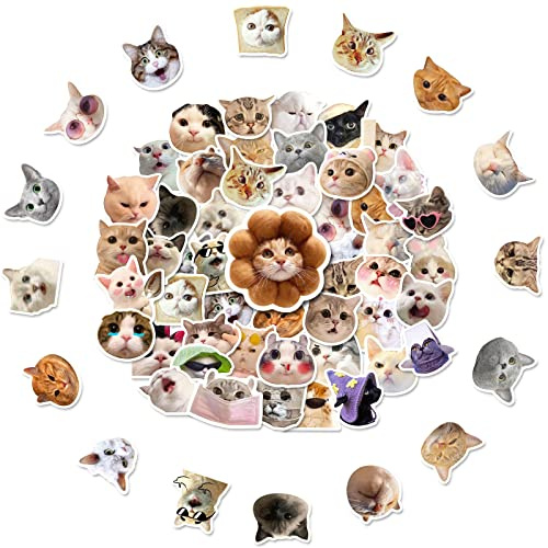 Funny Cat Stickers Set, Cute Cat Decals Waterproof Vinyl Stickers for Water Bottle Scrapbook Laptop Phone Case Skateboard Luggage Car Bumper Kawaii Animal Stickers for Kids Adults Teens (50pcs)