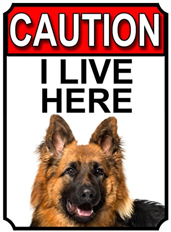 Shawprint CAUTION I LIVE HERE METAL GATE SIGN GERMAN SHEPHERD THEME 200MM X 150MM (1400H1)