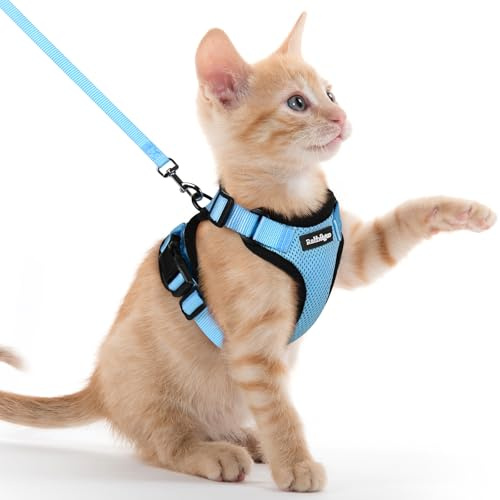 rabbitgoo Pettorina Gatto Antifuga con Guinzaglio, Guinzaglio per Gatti Regolabile, Pettorina Cane Taglia Piccola Riflettente, Imbracatura Gatto Adulto in Maglia Traspirante, Azzurro, XXS