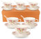 SWEDOU Cup and Saucer Sets of 6 with Spoon, 8oz 250ml Tea Cup Saucers Set New Bone China Floral Vintage Cup for Afternoon Party