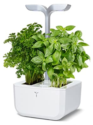 Véritable Indoor-Garten Exky® SMART (Arctic White) Kompakter und autonomer intelligenter Garten mit Adapt-Light-Technologie - Mit 2 Lingots®