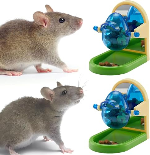 Giocattoli interattivi per l'arricchimento dei ratti, giocattoli interattivi per il foraggiamento dei ratti, giochi di puzzle per l'arricchimento dei ratti per la crescita dell'intelligenza, per