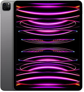 Apple iPad Pro de 12,9 Pulgadas (Wi-Fi, 256 GB) - Gris Espacial (6.ª generación)