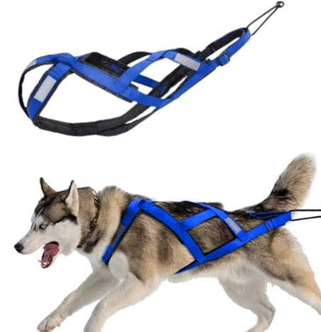 SOYUZERISH Schlittenhundegeschirr Hundeschlittengeschirr Haustiergewicht Ziehen Schlittengeschirr Mushing X-Back Geschirr for große Hunde Husky Canicross Skijöring Scootering (Blau, L)