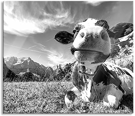 Kuh im Karwendelgebirge Kunst B&W Herdabdeckplatte & Spritzschutz aus Echtglas | Für Herd-Kochfelder | 60x52 cm