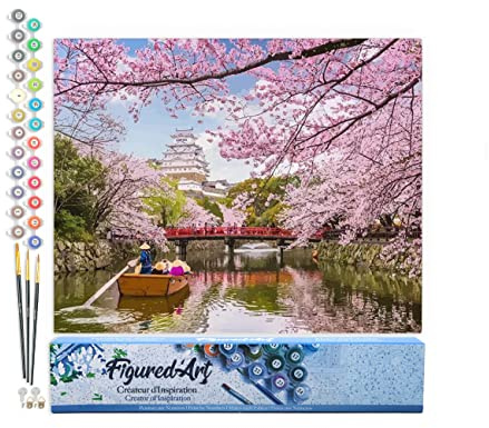 Figured'Art Peinture par Numéro Adulte Fleurs de cerisiers au Japon - Activité Manuelle Kit de Loisir Créatif DIY Numéro d'Art Complet - 40x50cm sans châssis en bois