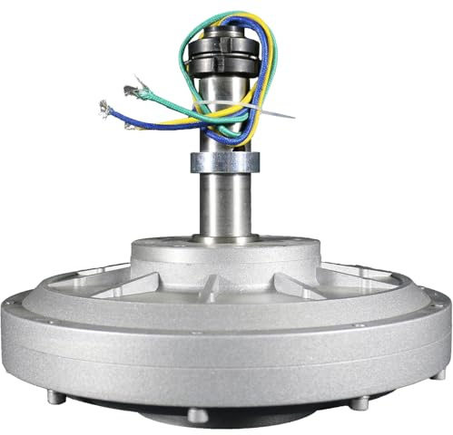 1000W Vertical Permanentmagnet Generator 24V 48V 96V 120V Lichtmaschine PMG Coreless Maglev 250rpm DIY für Vertikale Windkraftanlage (48, Volt)