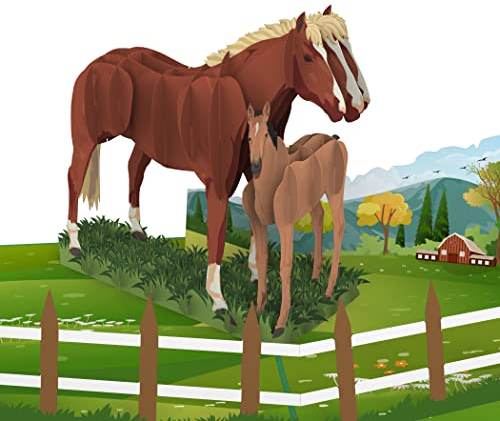 MOKIO® Biglietto Auguri Pop-Up – Cavallo con Puledro – Biglietto regalo 3D per gli amanti dei cavalli per un compleanno, Biglietto di auguri lezioni di equitazione