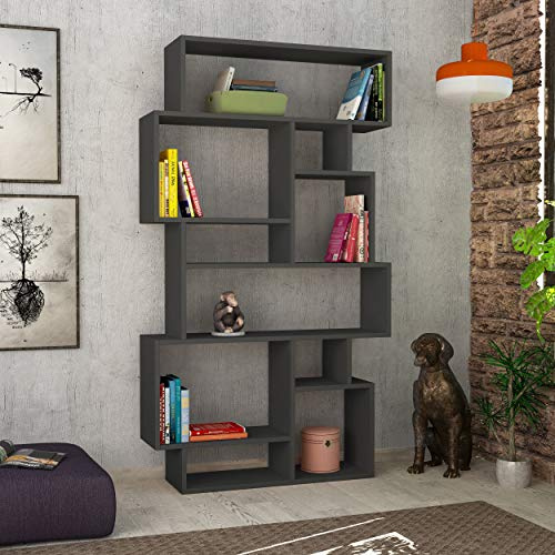 HOCUS PICUS 6-stöckiges Bücherregal mit 10 offenen Fächern| modernes Standregal für Wohnzimmer und Büro| platzsparendes Regal zur Bücheraufbewahrung und Präsentation| 25,5 x 96 x 168,5 cm (Anthrazit)