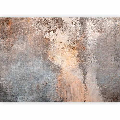 murando - Carta da Parati Moderna per Soggiorno, Pietra, 400x280 cm | Fotomurali in TNT, Decorazione da Muro XXL, Poster Giganti da Parete, Calcestruzzo, Produzione Europea