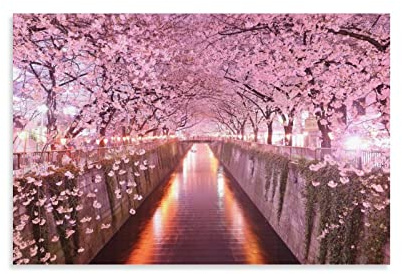 HIHIOI Hermoso lienzo de Japón con diseño de flor de cerezo y arte de pared, impresión moderna para decoración de dormitorio familiar, 40 x 60 cm