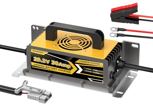 29,2V 30A Cargador de Batería Litio para 24V (25,6V) LiFePO4 Baterías, 24V Cargador de Batería LiFePO4 para Autocaravanas, Barcos, Vehículos Marinos y Sistemas Solar