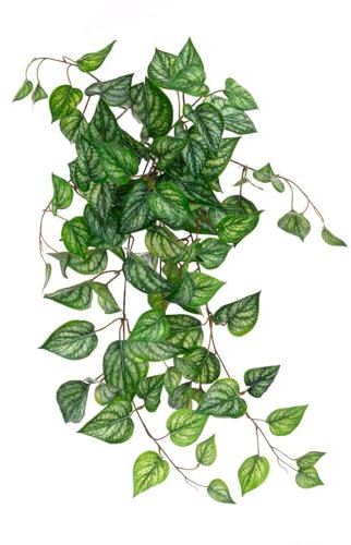 FloristryWarehouse ECO Faux Silk Devil's Ivy Hanging Bush 70cm/27 Inches UV Treated