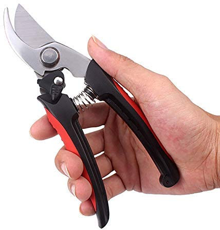 ABNNHK Sécateur, sécateur Professionnel, Ciseaux à cliquet pour Arbres, greffage, Coupe-Branches de Jardin, Outils pour bonsaï, sécateur à Main