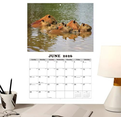 Calendario De Pared 12 Meses | Ilustraciones De Animales En Inglés | De Calendario Mensual Para Pared - para Aula Comedor Sala Dormitorio Estudio Adultos Niños